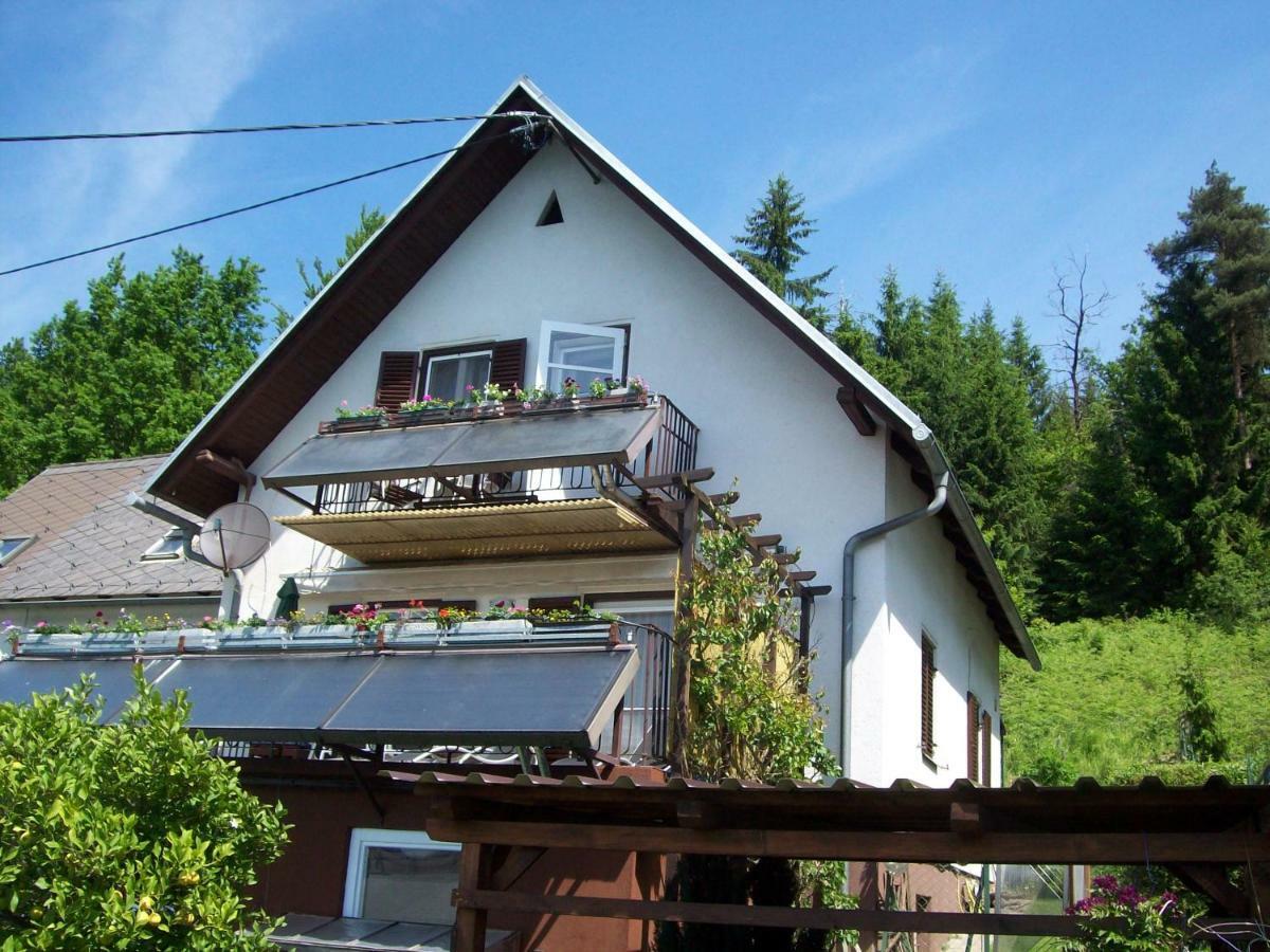 Riedl Gaestewohnung Klagenfurt am Woerthersee Zewnętrze zdjęcie